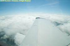 above the tops (mostly)