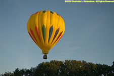 taking off over the trees at sunrise